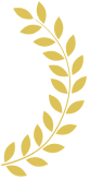 ფრთა მარჯვენა